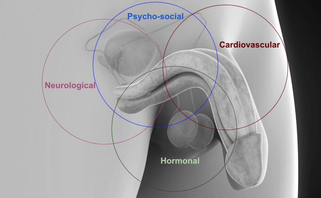 rimedi disfunzione erettile