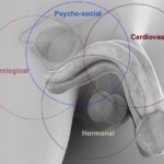 rimedi disfunzione erettile